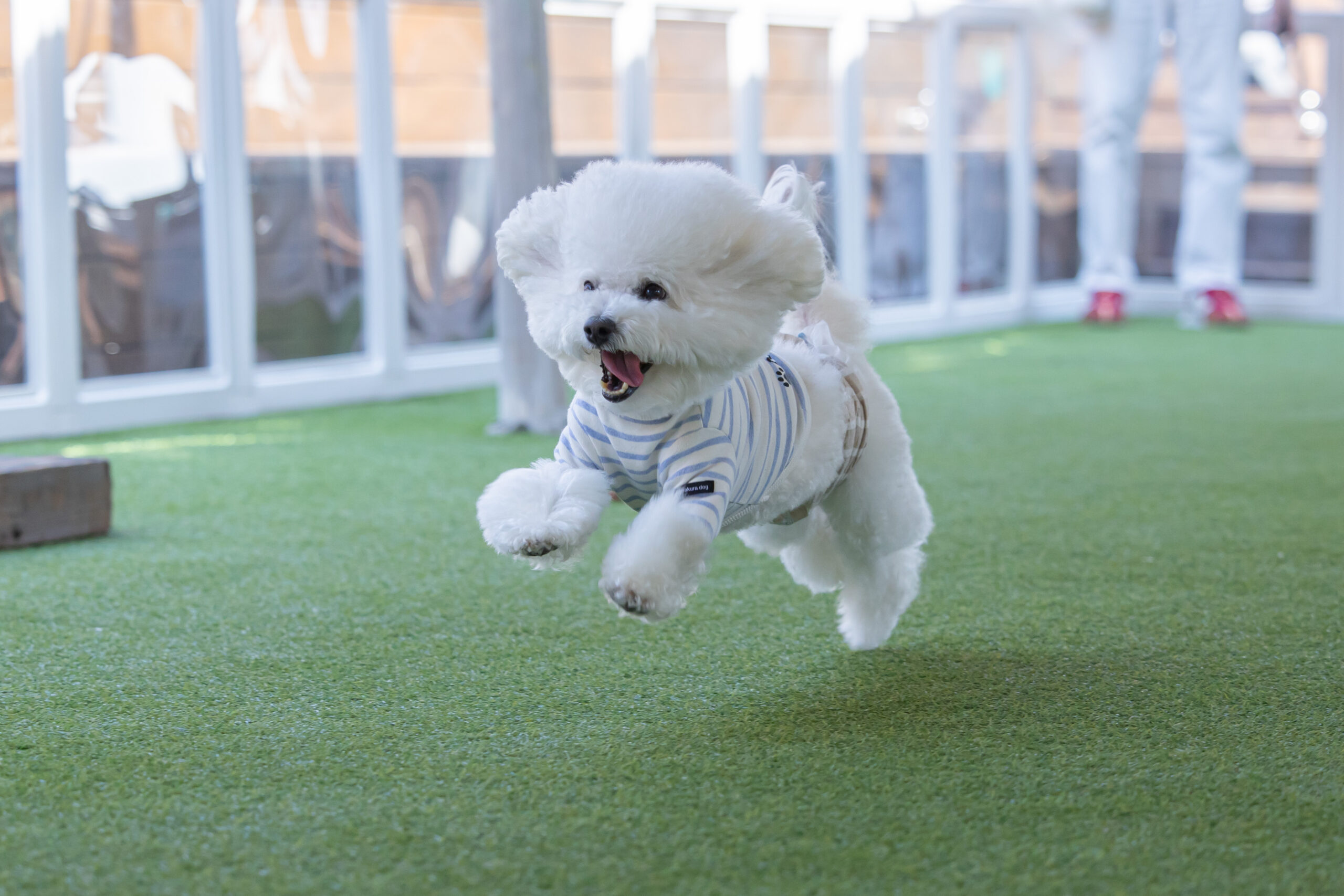 MATSURIBA撮影会　白い子