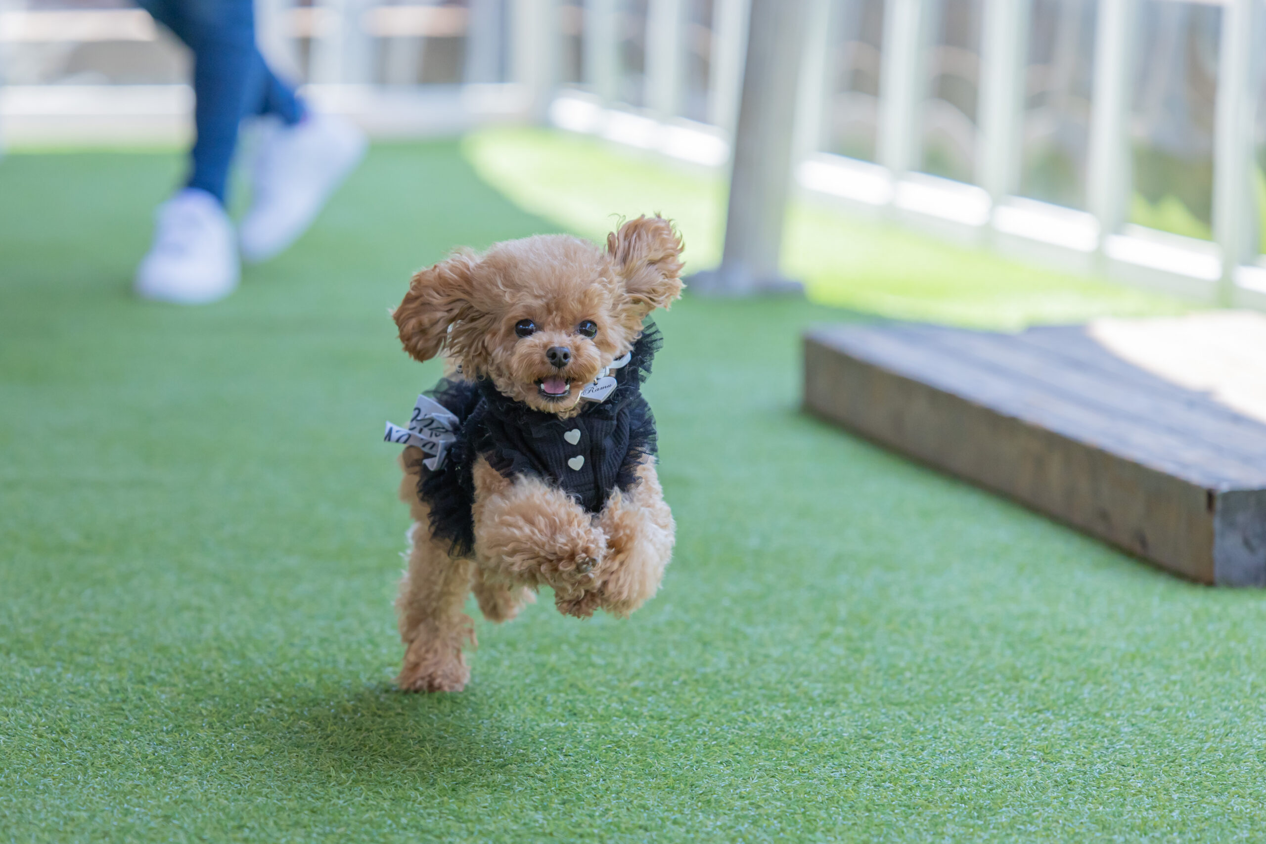 MATSURIBA撮影会　らむちゃん