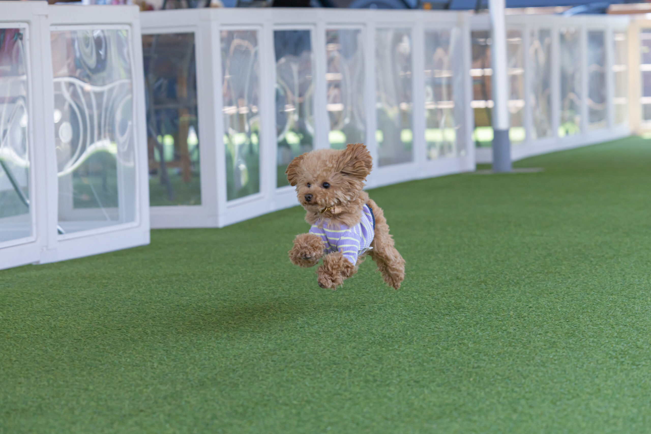 MATSURIBA撮影会　れんくん