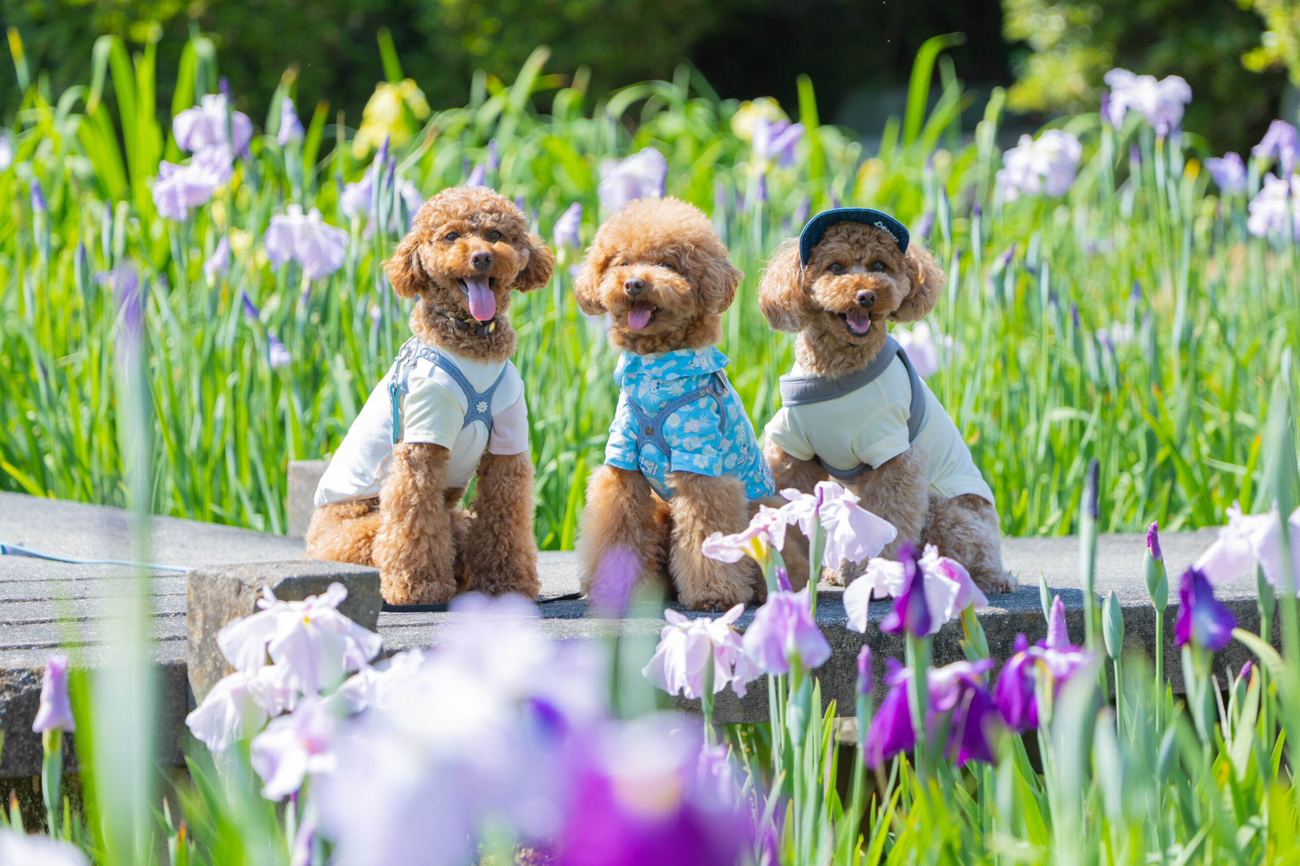 🌳 ローケーションレッスン