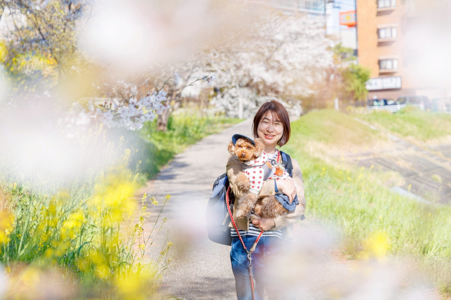 桜と菜の花の時期のお散歩