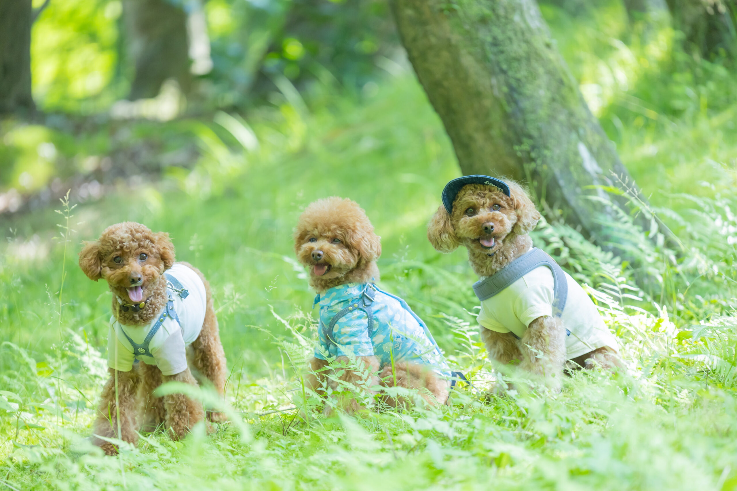 すずちゃんまろたんと三人で